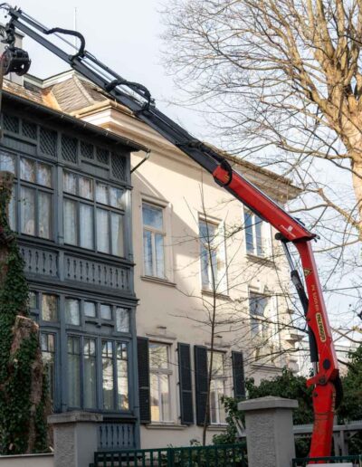Baumabtragung Baumservice Gruber