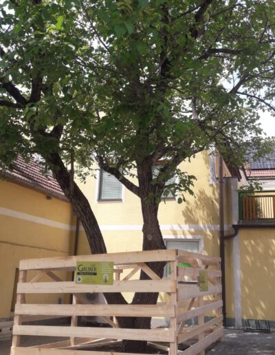 Baumschutz auf Baustellen