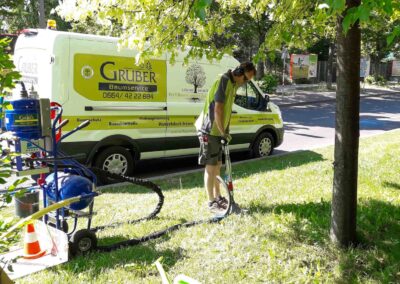 Bodenoptimierung Baumservice Gruber