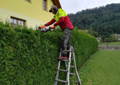 Heckenschnitt Baumservice Gruber