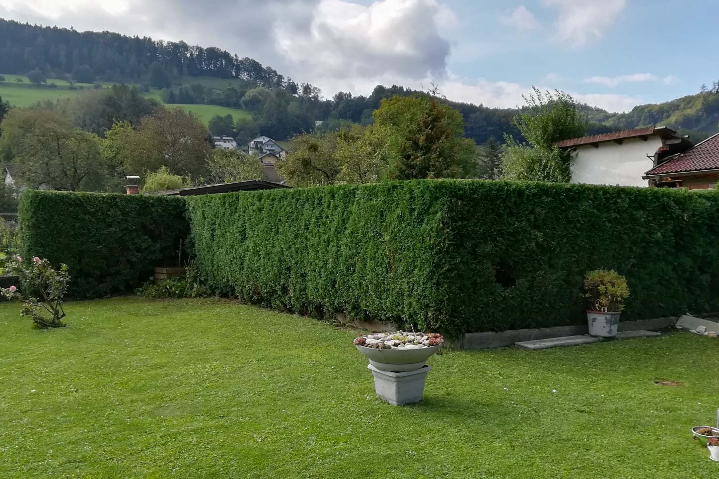 Kronenpflege Baumservice Gruber