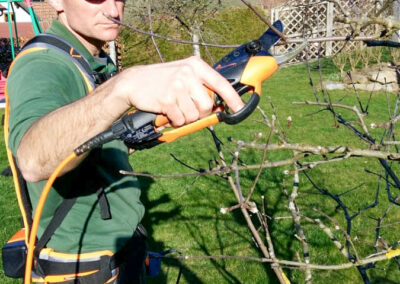 Obstbaumschnitt Baumservice Gruber