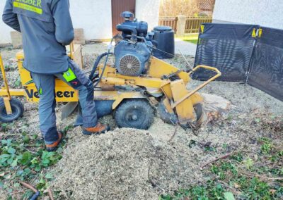 Wurzelstockfräsen Baumservice Gruber