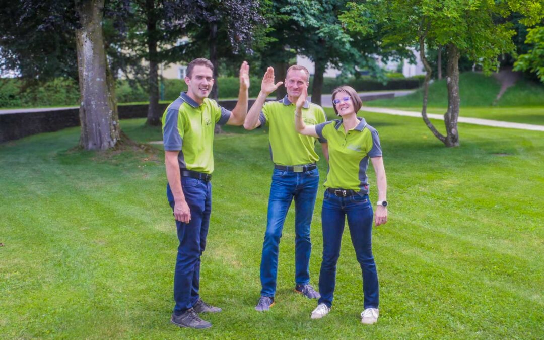 Jährliches Baumservice